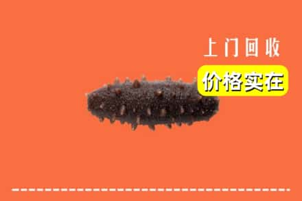 收购资讯:锡林郭勒太仆寺回收海参