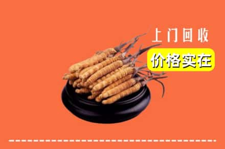 收购资讯:锡林郭勒太仆寺回收冬虫夏草