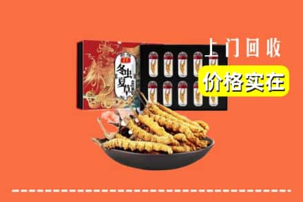 锡林郭勒太仆寺回收虫草