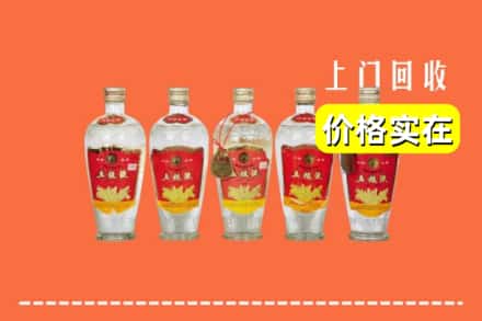 锡林郭勒太仆寺回收老五粮液